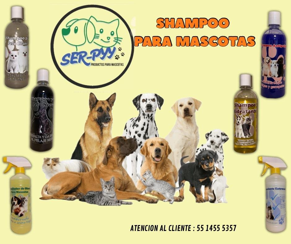 Mascotas felices